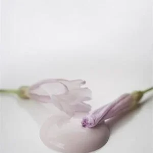 Kalkkimaali Faded Rose Vintage Paint